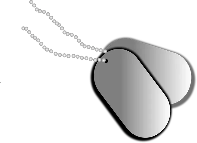 Load image into Gallery viewer, Delicate Paperclip link With Harness Bracelet
