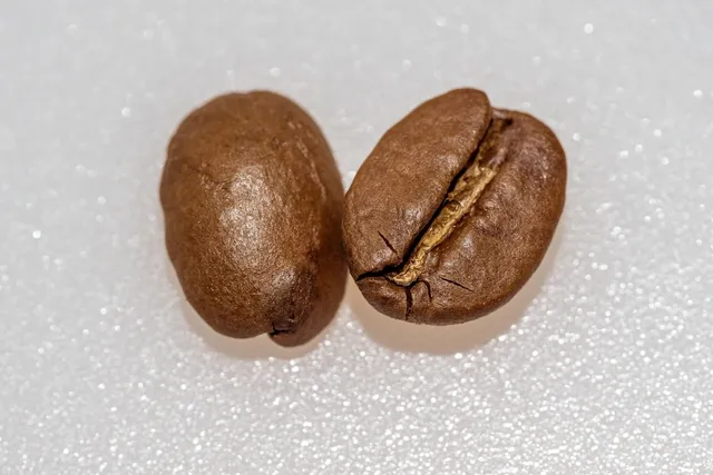 Large Coffee Bean Bracelet